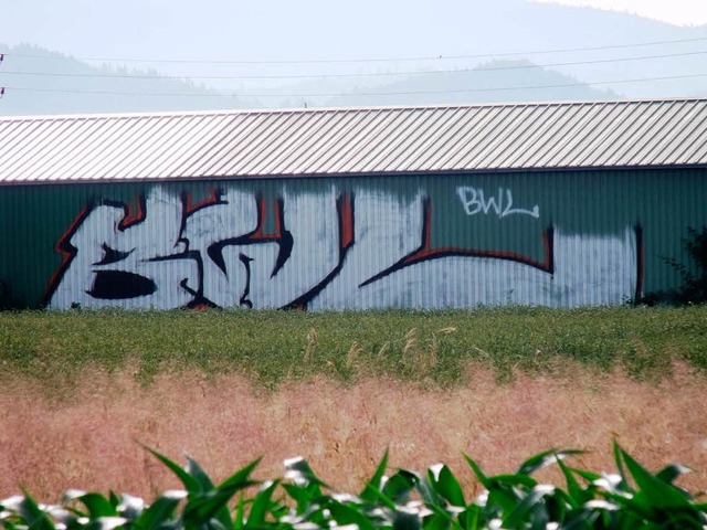 Eines der Werke de Graffiti-Sprayer.  | Foto: bz