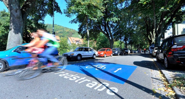 Fahrradfahrer sollen im Landkreis ein besseres Verkehrsnetz bekommen.  | Foto: Michael Bamberger