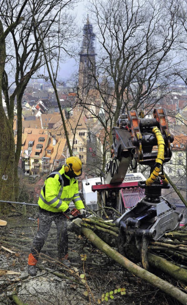 Baumarbeiten in heiklem Gelnde oberhalb der Altstadt  | Foto: Thomas Kunz
