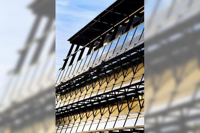 Solar-Fabrik: Umsatz geht um 80 Millionen Euro zurck