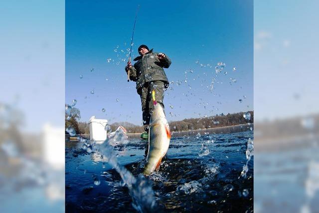 Fischwildererei nimmt zu - Kontrollen gegen Schwarzangler