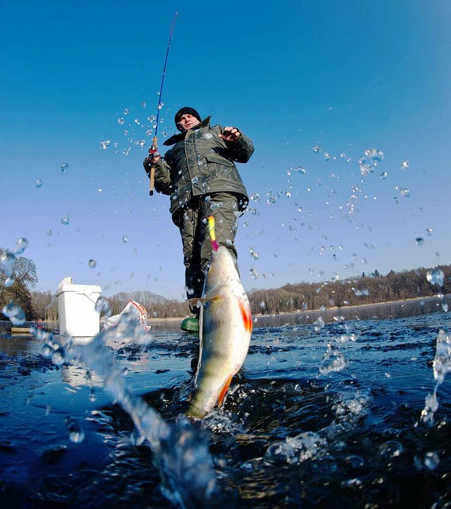 Schwarzangler schdigen nicht nur die ... Fische durch illegale Angelmethoden.   | Foto: archivbild: fotolia.com/herb