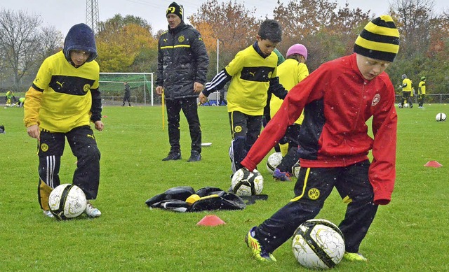 Die Belegung des Europastadions, hier ...B-Fuballcamp des FSV, wird ein Thema.  | Foto: Peter Gerigk