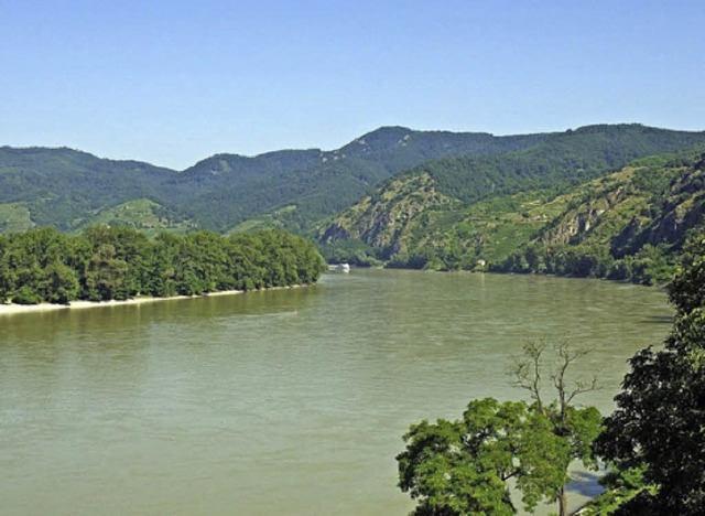 Die Donau steht im Zentrum eines Vortr...ie Natur- und Vogelfreunde einladen.    | Foto: stecher