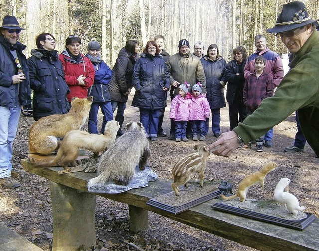 Vom Fuchs bis zum Iltis: die &#8222;Beute&#8220; der Jagd der TV-Mitglieder  | Foto: turnverein