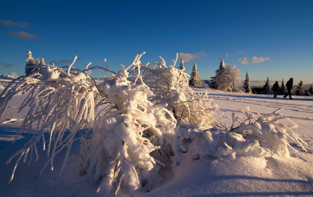 17. Januar: Winterlandschaft auf dem Kandel