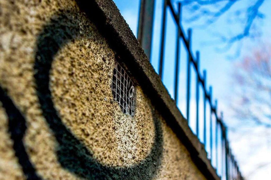 Im Stühlinger steht eine Mauer mit vielen Gesichtern. (Foto: Carlotta Huber) Im Stühlinger steht eine Mauer mit vielen Gesichtern. (Foto: Carlotta Huber)