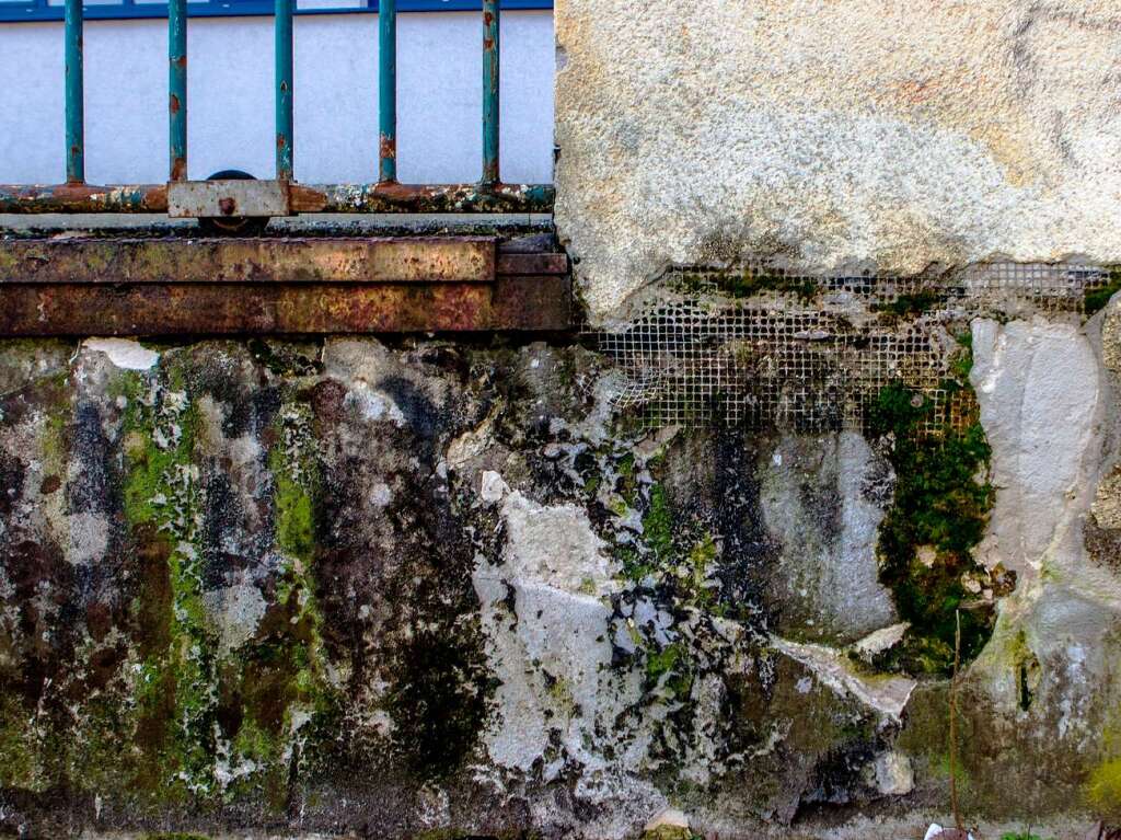 Im Stühlinger steht eine Mauer mit vielen Gesichtern. Im Stühlinger steht eine Mauer mit vielen Gesichtern.
