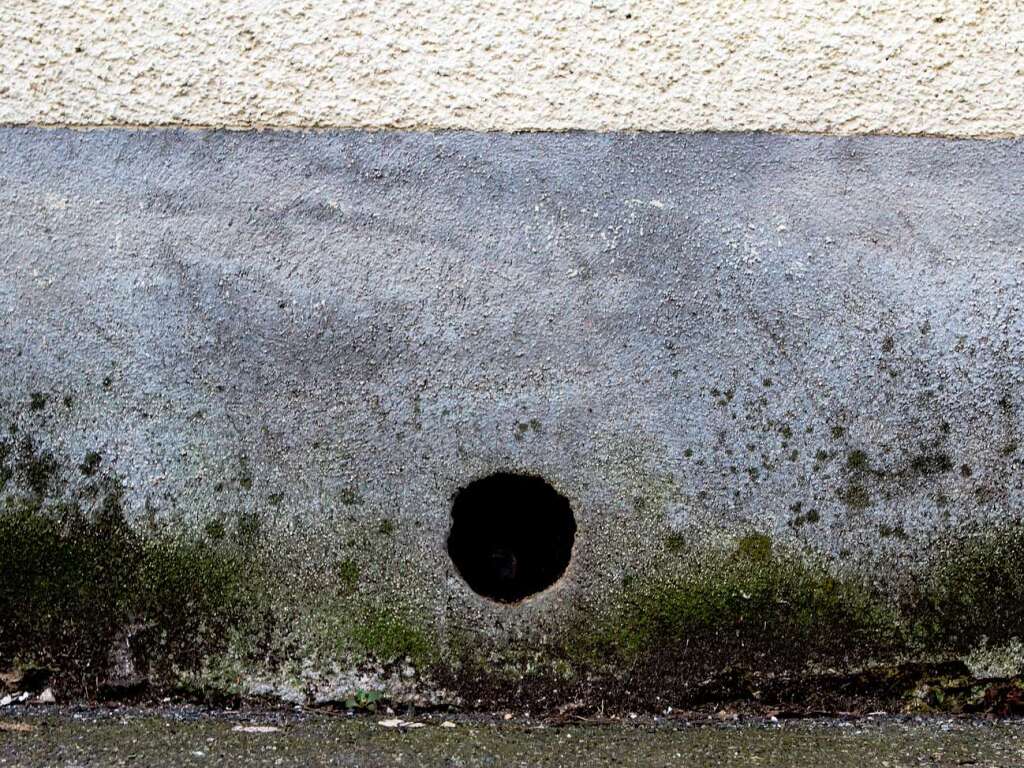Im Stühlinger steht eine Mauer mit vielen Gesichtern. Im Stühlinger steht eine Mauer mit vielen Gesichtern.