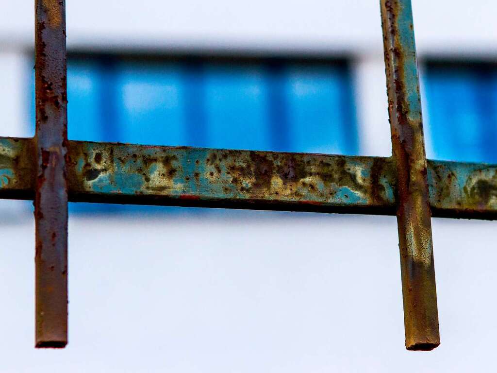 Im Stühlinger steht eine Mauer mit vielen Gesichtern. Im Stühlinger steht eine Mauer mit vielen Gesichtern.