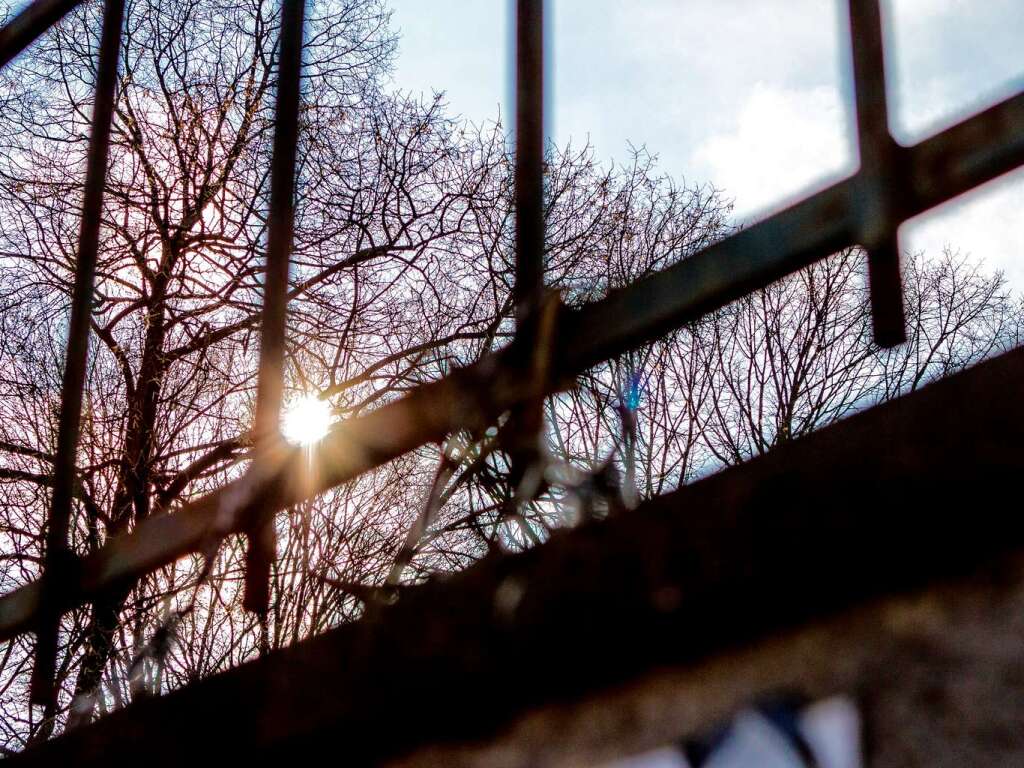 Im Stühlinger steht eine Mauer mit vielen Gesichtern. Im Stühlinger steht eine Mauer mit vielen Gesichtern.