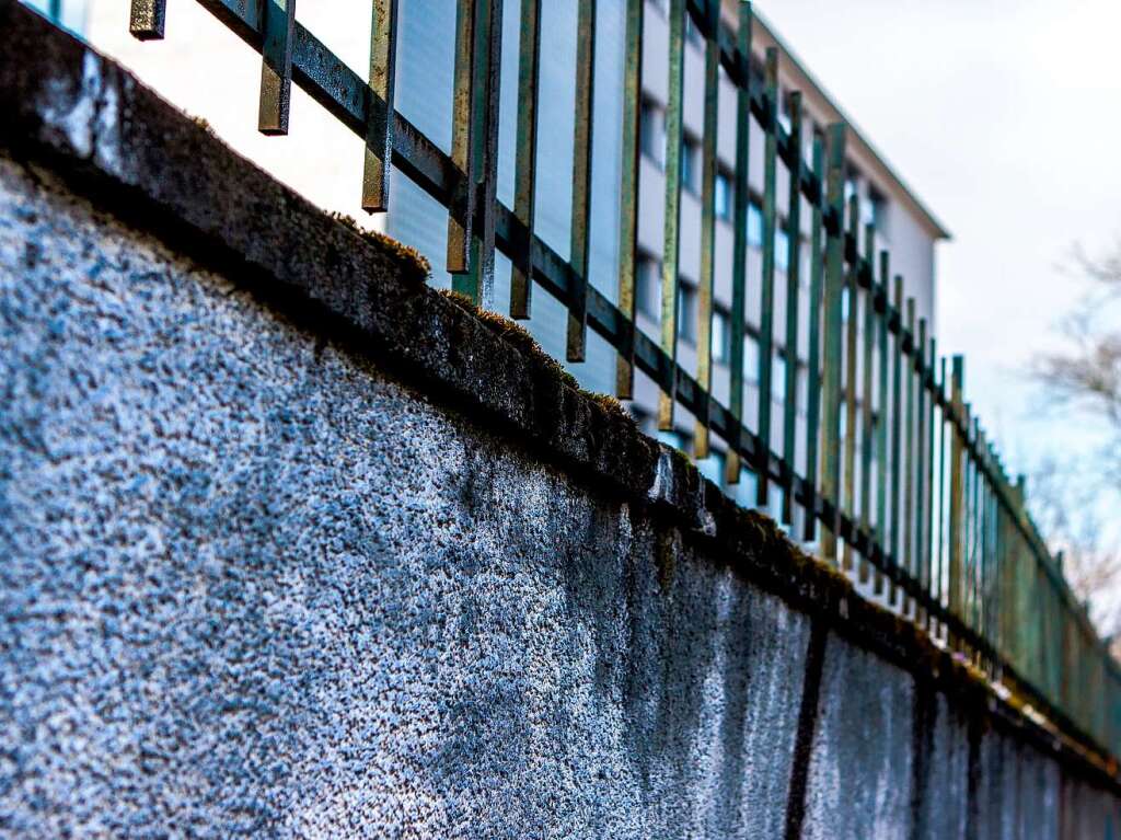 Im Stühlinger steht eine Mauer mit vielen Gesichtern. Im Stühlinger steht eine Mauer mit vielen Gesichtern.