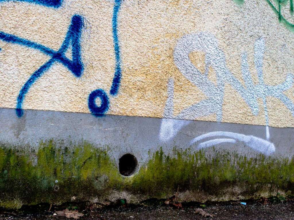 Im Stühlinger steht eine Mauer mit vielen Gesichtern. Im Stühlinger steht eine Mauer mit vielen Gesichtern.