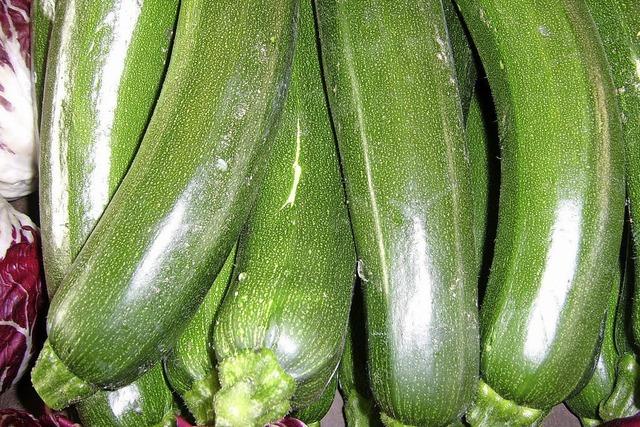 Zucchini: ein vitaminreiches Gemse aus dem Sden