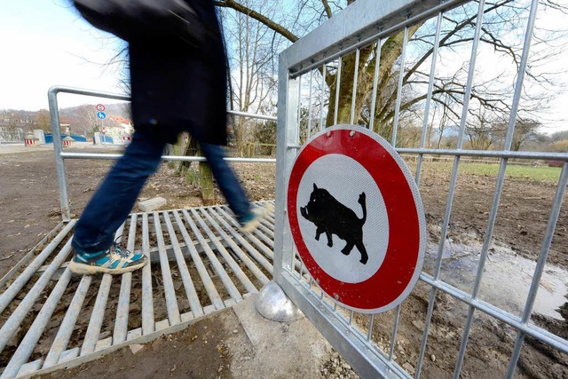 Kein Zutritt fr Wildschweine!   | Foto: Ingo Schneider