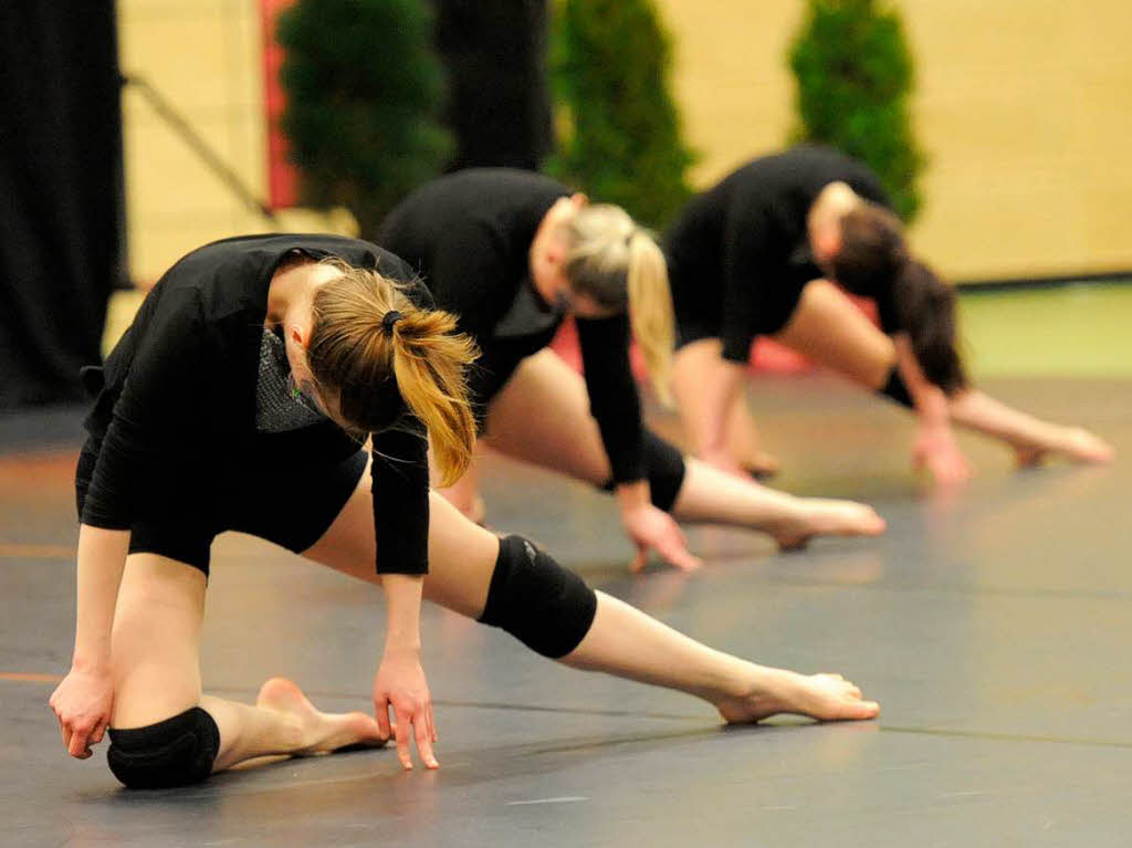 Colony of Dance Colony of Dance