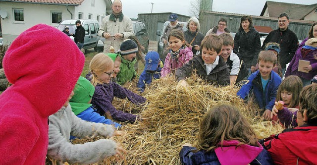 Lustige Hasenjagd im Stroh war beim Ostermarkt  in Freiamt angesagt.   | Foto: Pia Grttinger