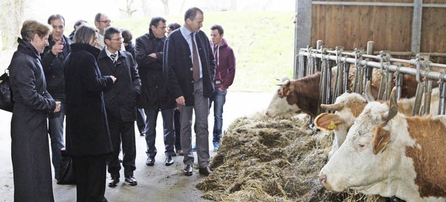 Gesunde Erzeugnisse vom Bauernhof: Ein... &#8222;Sunneland&#8220; in Maulburg.   | Foto: Hans-Jrgen Hege