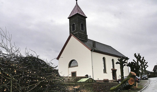 Eine kranke Eiche fehlt jetzt vor der ...feld auf dem Friedhof weichen musste.   | Foto: Marlies Jung-Knoblich