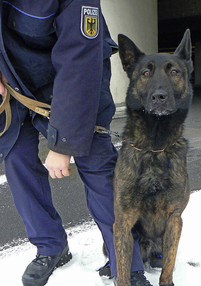 Ein Polizeihund im Einsatz   | Foto: dpa