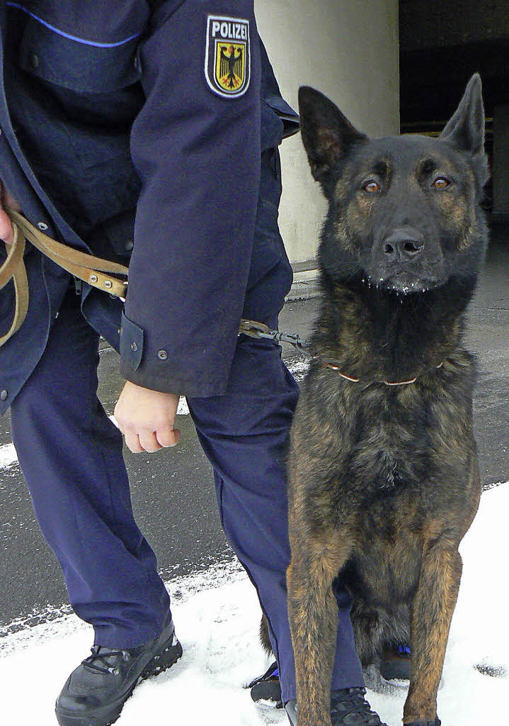 Polizeihund Beißt Mann Der Nun Strafanzeige Erstellt Südwest Badische Zeitung 2560