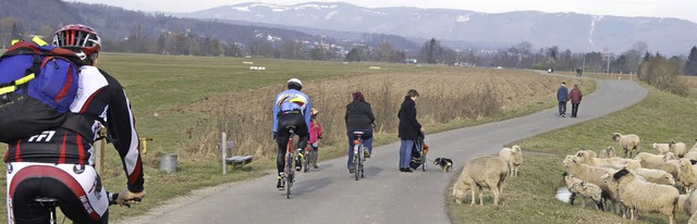 Jede Gelegenheit wird genutzt, um Sonn...adweg zwischen Herten und Degerfelden.  | Foto: Hanna Vlkle