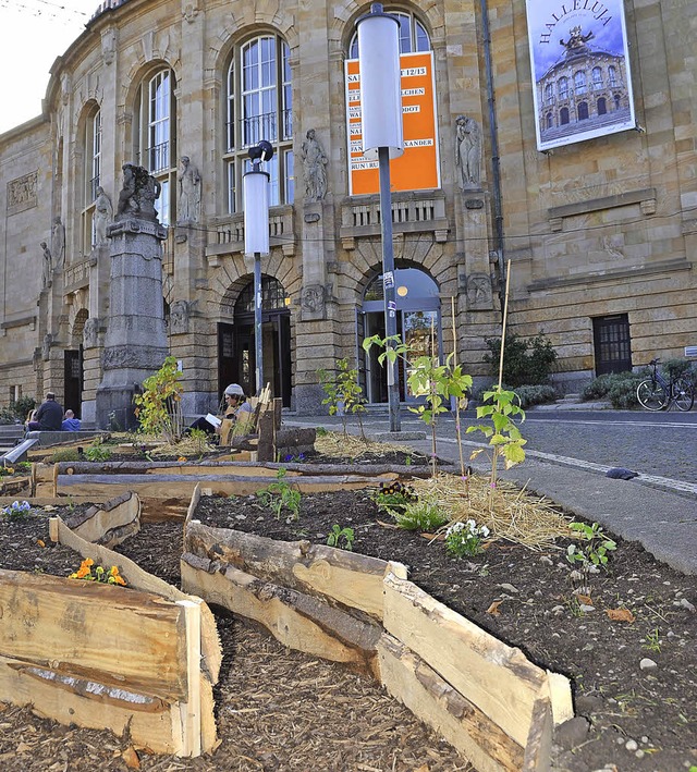 Die Pflanzaktion von Transition Town v... Stadttheater in einen urbanen Garten.  | Foto: Anita Fertl