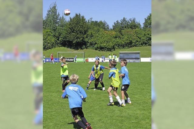 FCD-Jugend vermisst Transparenz