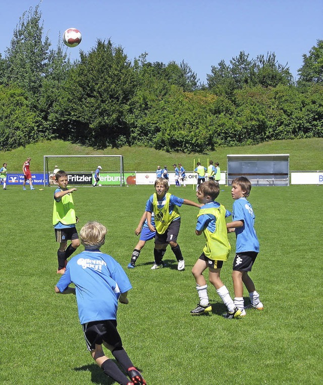 Erstmal den Ball flach halten, ist die...r Jugendvorstand komplett zurcktrat.   | Foto: Archiv: ROMAN KIENER