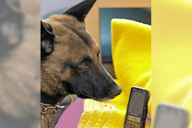 Polizei setzt ersten Handyspürhund Deutschlands ein
