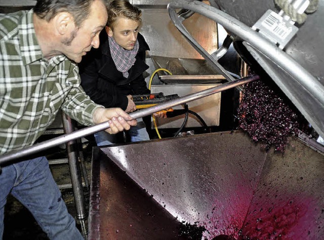 Nach fnf Monaten Maischezeit fllt He...einen sehr lang lagerfhigen Tropfen.   | Foto: julius steckmeister