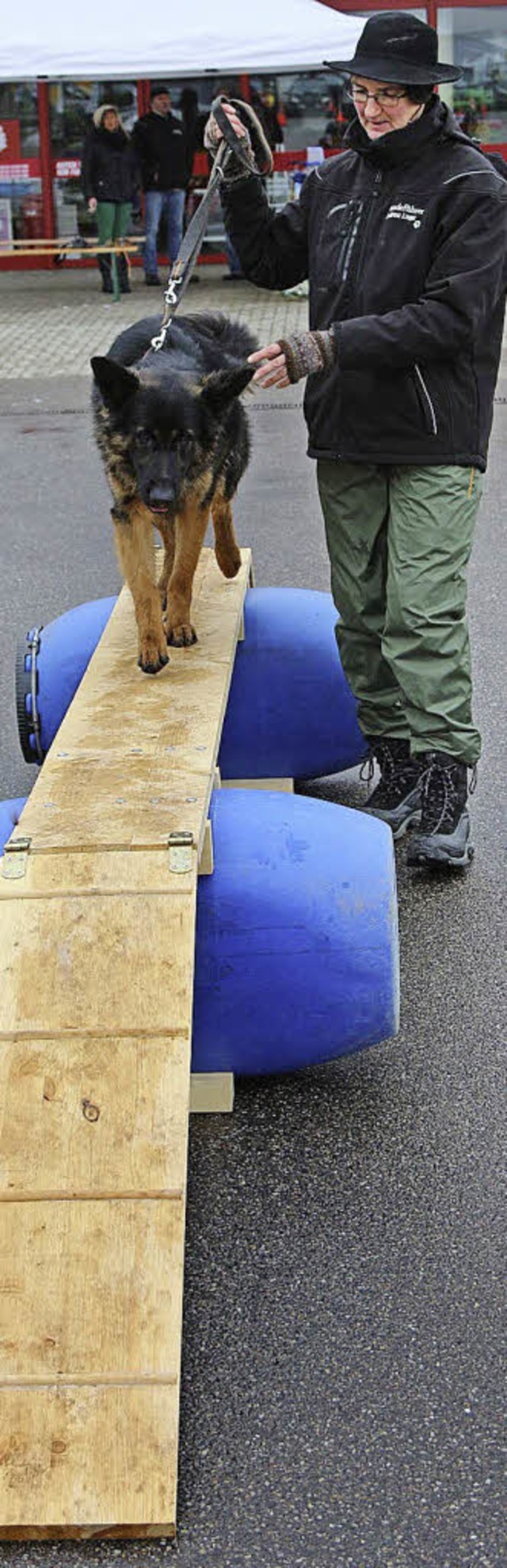 Wer packt den Parcours? Hindernislufe...l des Eignungstests fr Rettungshund.   | Foto: H.-J. hege