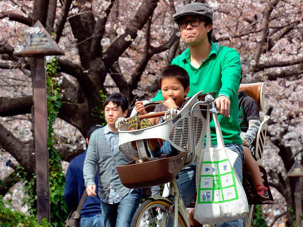 Mit Freunden, Arbeitskollegen und der Familie feiert Japan das Kirschbltenfest – auch „Hanami“ genannt.