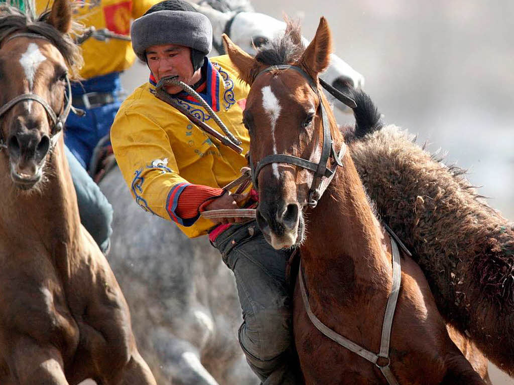 Im kirgisischen Bischkek begehen Mnner das Frhlinigsfest mit einem etwas ausgefallenen Nationalsport.