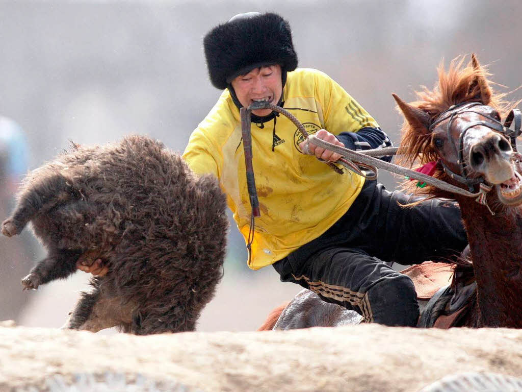 Wer dem Preisrichter die tote Ziege vor die Fe legt, hat das Ziel des Kok-Boru erreicht. Der Nationalsport ist Teil des Frhlingsfests Nouruz im kirgisischen Bischkek.