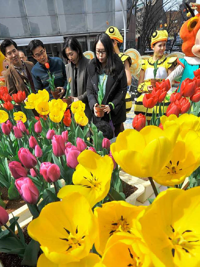 Frhlingsfest in Sd-Koreas grtem Freizeitpark: Tnzer verteilen Tulpen unter den Fugngern.