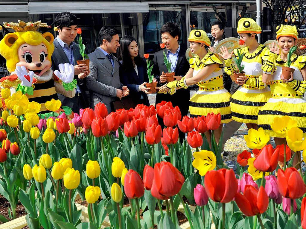 Tnzer aus dem grten Freizeitpark Sd-Koreas verteilen Tulpen unter den Fugngern. Damit laden sie gleichzeitig zum Frhlingsfest des Parks ein.
