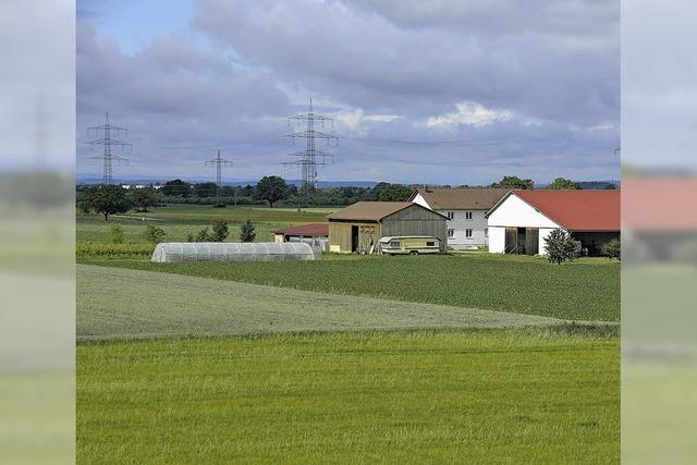 Gebiet fr Rmerfunde unter Schutz