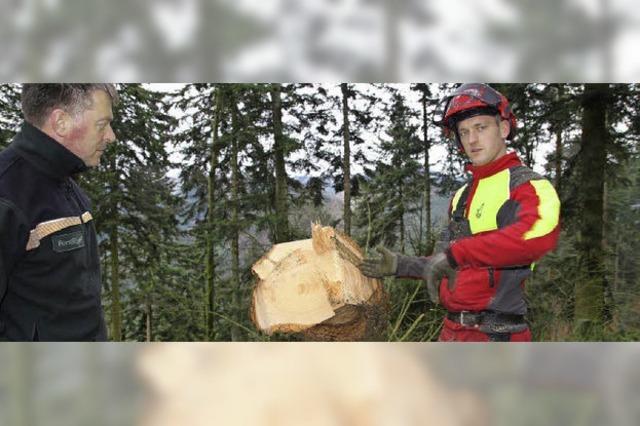 Wie Wald Arbeit und Erholung bringt