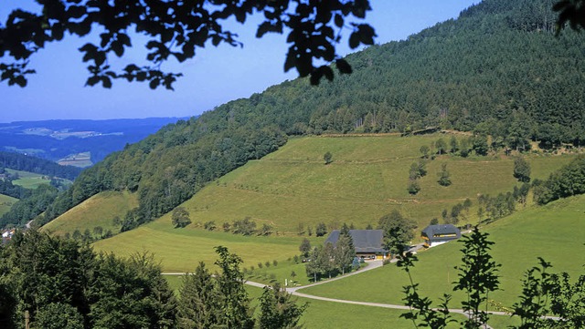 Der Wald hat viele Funktionen &#8211; ...r die nchsten zehn Jahre festgelegt.   | Foto: Kurt Meier