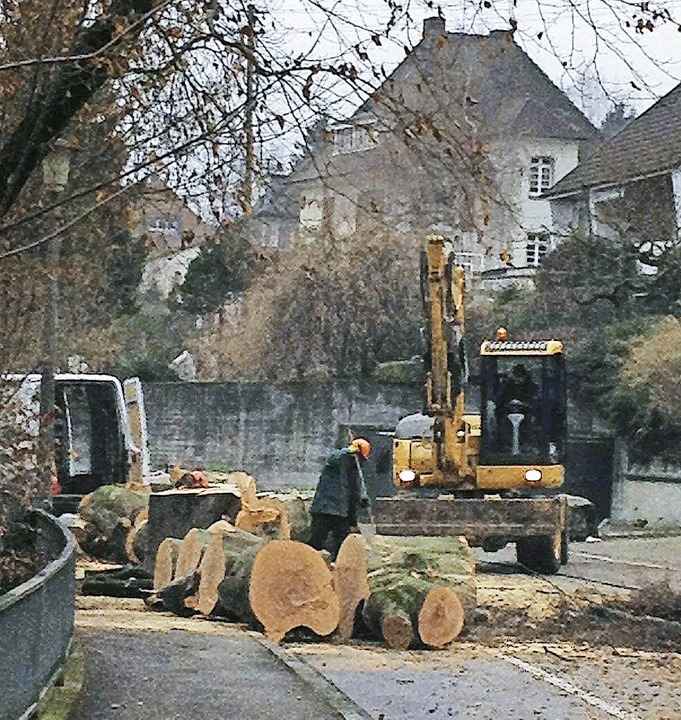 BZ-Leserin Petra Kehr hielt die F�llung mit der Kamera fest.   | Foto: Privat