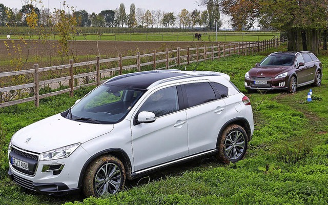 Im Grnen unterwegs  &#8211; mit interessanter Technik  | Foto: peugeot