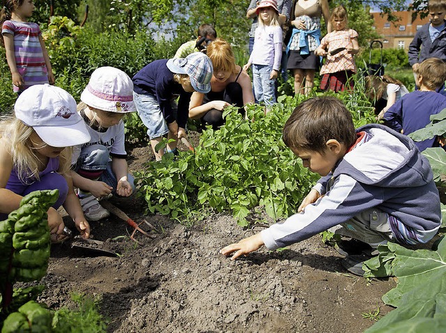 Dass Gemse nicht aus dem Supermarkt, ...erlin beim Langen Tag der Stadtnatur.   | Foto: dpa