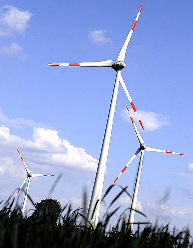 Windrder am Kaiserstuhl? Noch luft die Planung.   | Foto: dapd