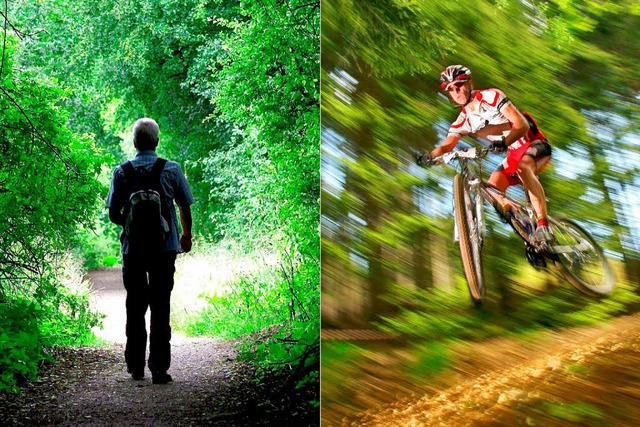 Radfahrer wie Wanderer sind im Wald ge...sind diese Wege laut  Waldgesetz tabu.  | Foto: dpa