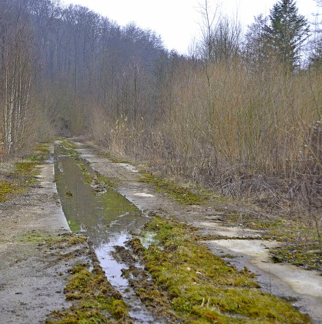 Als alternativer Anheizplatz war  auch...Ernst-Mach-Institut schon im Gesprch.  | Foto: Markus Maier