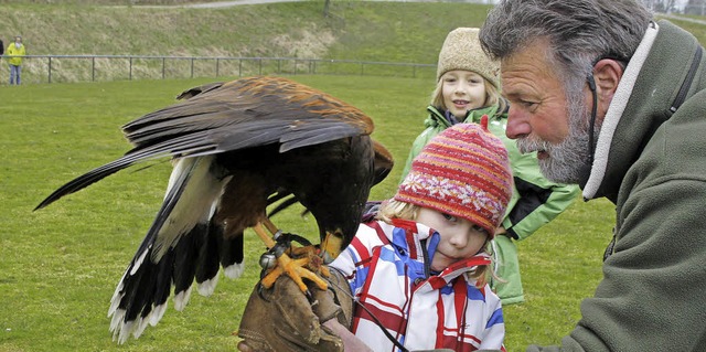 Franz Ruchlak macht Kinder mit Greifv...so ganz trauen sie dem Frieden nicht.   | Foto: Heidi Fssel