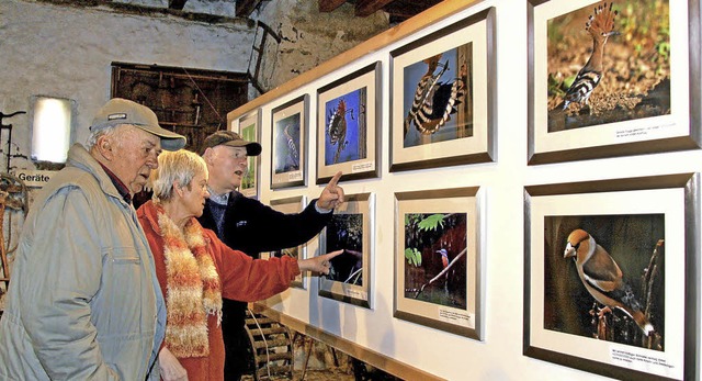 Bei der Erffnung des Weinbaumuseums i...gelbilder von den Besuchern bewundert.  | Foto: herbert trogus