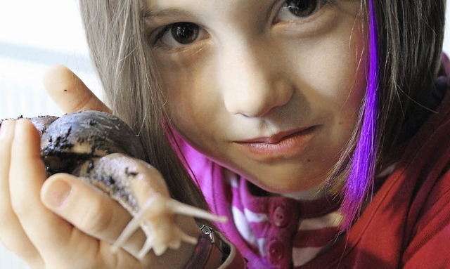 Samira hat Glck. Achatschnecken kann ...mmert sich ihre Oma um die Tierchen.   | Foto: CORNELIA LIEBWEIN