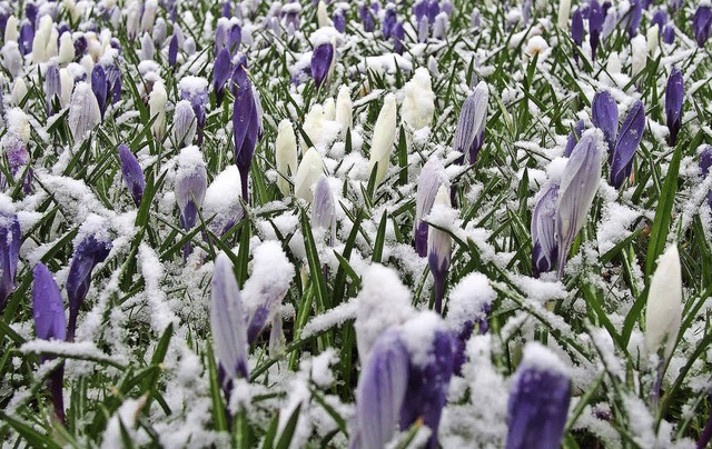 Wann kommt der Frhling? Stadtansichte...ach, schlechtes Wetter, Schnee im Mrz  | Foto: Henry Balaszeskul